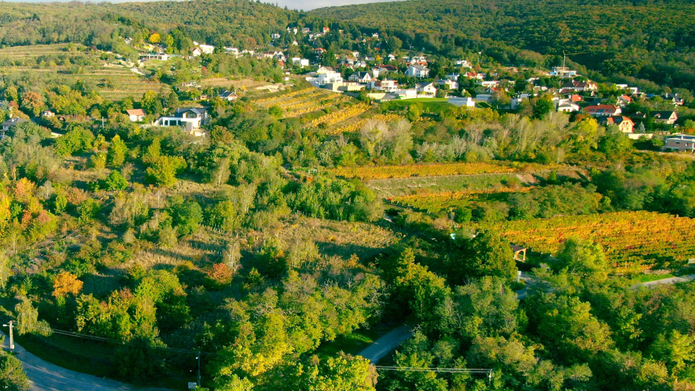 K Ú P A │Hľadáme "áčkový" stavebný pozemok na úpätí Karpát