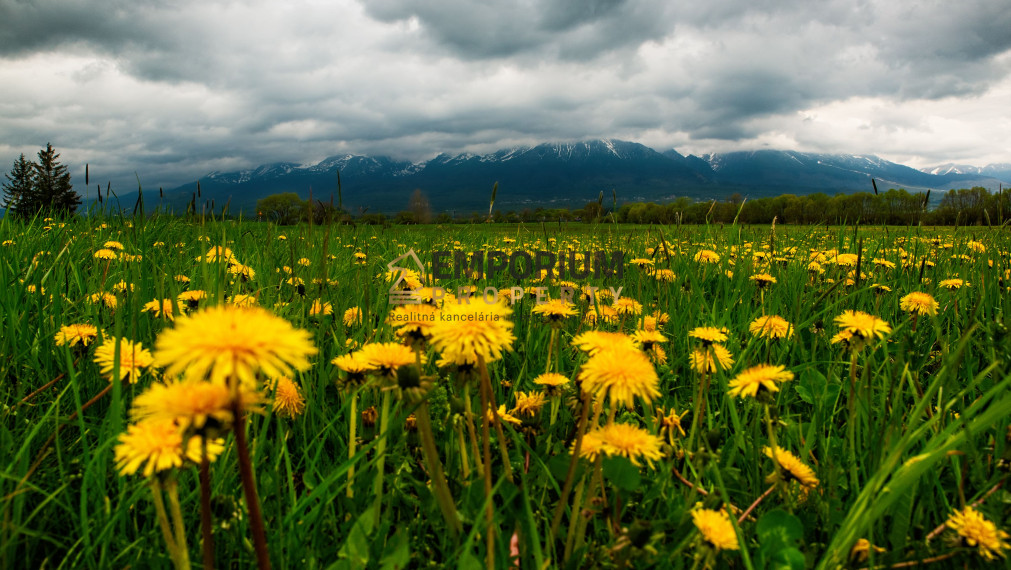 P R E N Á  J O M │ 2i apartmán v Novej Lesnej s výhľadom na Tatry