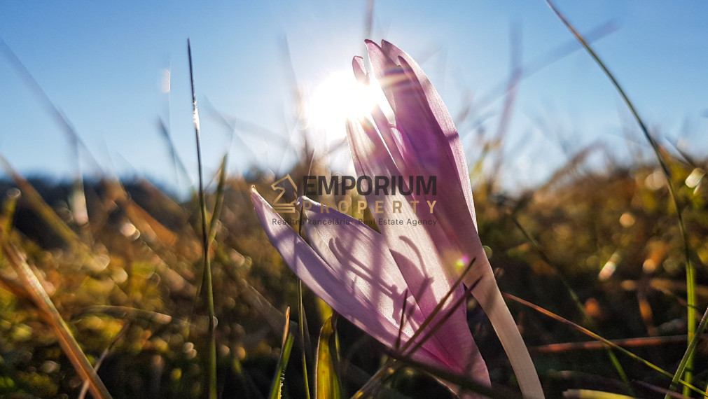 P R E N Á  J O M │ 2i priestranný mezonet pod zjazdovkou v PARK SNOW DONOVALY│3 D