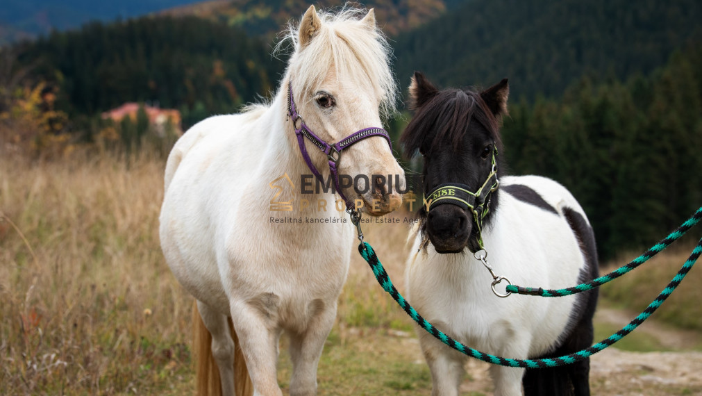 P R E N Á  J O M │ 2i priestranný mezonet pod zjazdovkou v PARK SNOW DONOVALY│3 D