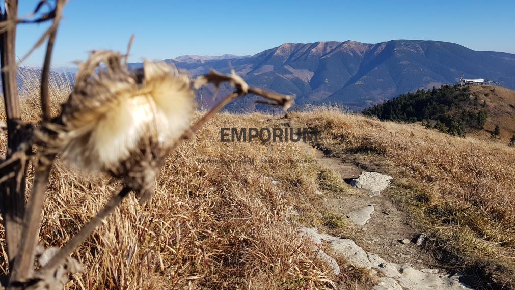 P R E N Á  J O M │ 2i priestranný mezonet pod zjazdovkou v PARK SNOW DONOVALY│3 D