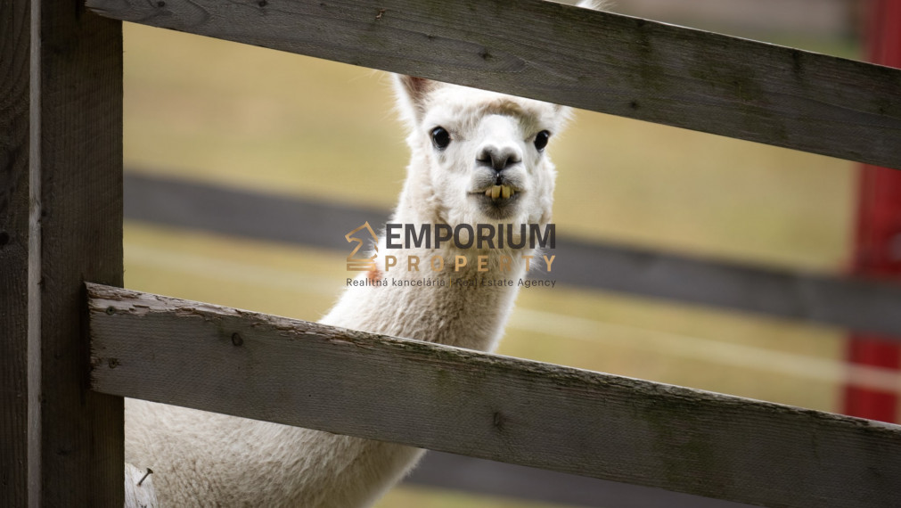 P R E N Á  J O M │ 2i priestranný mezonet pod zjazdovkou v PARK SNOW DONOVALY│3 D