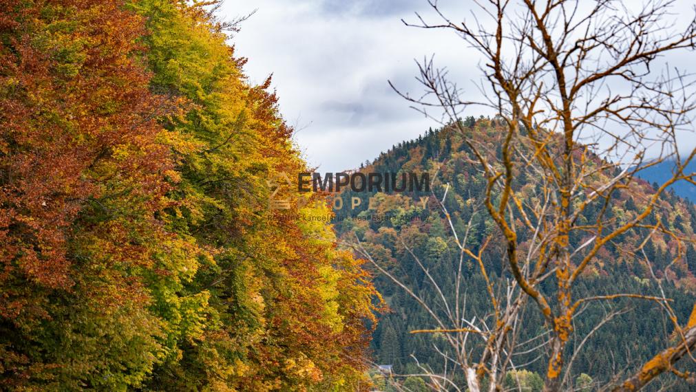 P R E N Á  J O M │ 2i priestranný mezonet pod zjazdovkou v PARK SNOW DONOVALY│3 D