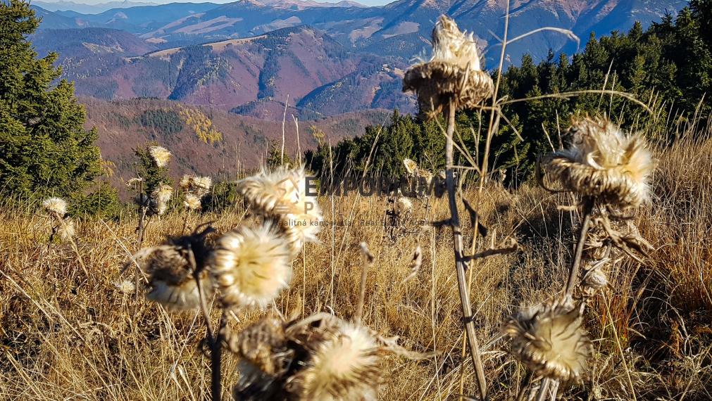 P R E N Á  J O M │ 2i priestranný mezonet pod zjazdovkou v PARK SNOW DONOVALY│3 D