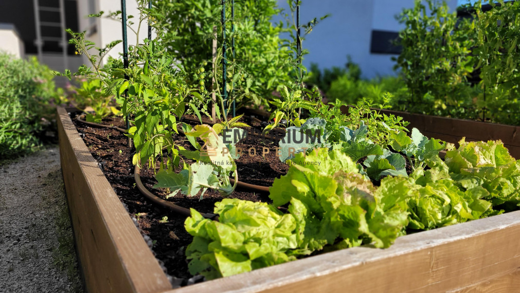 P R E N Á J O M │2i byt s prémiovým výhľadom