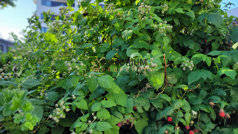 P R E N Á J O M │2i byt s prémiovým výhľadom