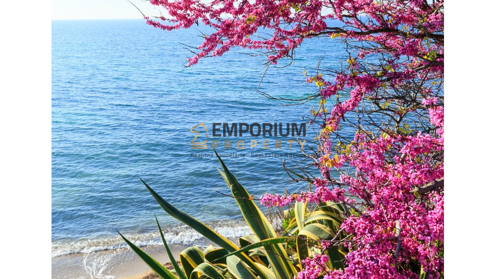 P R E D A J │5i RD na kopci s bazénom a výhľadom│Francúzska riviéra│Fréjus