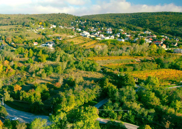 K Ú P A │Hľadáme 